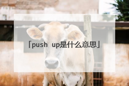 push up是什么意思