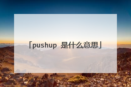 pushup 是什么意思