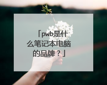 pwb是什么笔记本电脑的品牌?