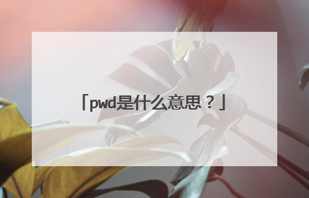 pwd是什么意思?