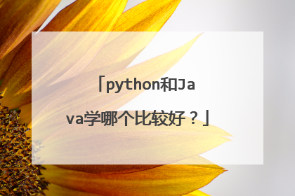 python和Java学哪个比较好?
