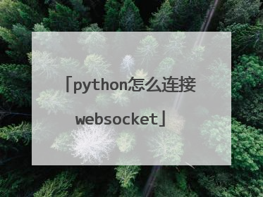 python怎么连接websocket