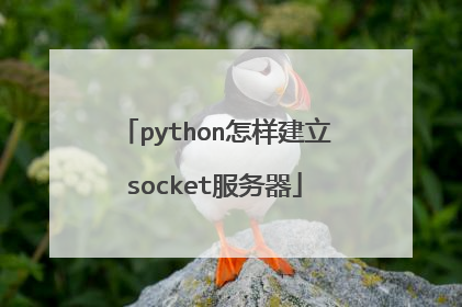 python怎样建立socket服务器