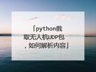 python截取无人机UDP包,如何解析内容