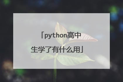 python高中生学了有什么用