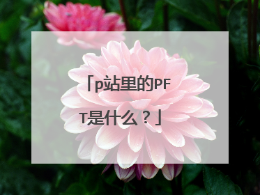 p站里的PFT是什么?