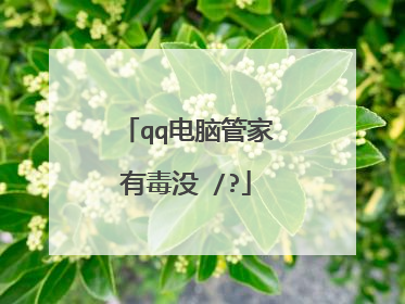 qq电脑管家有毒没 /?