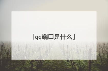qq端口是什么