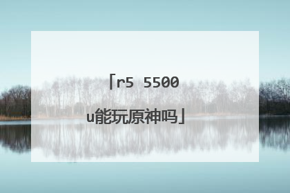 r5 5500u能玩原神吗