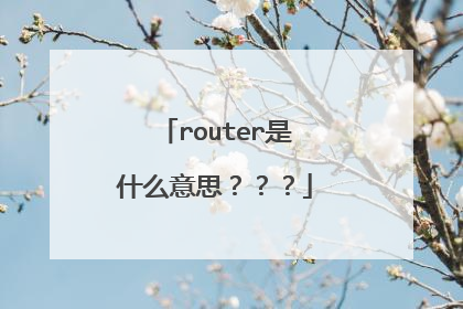 router是什么意思？？？