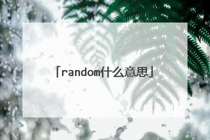 random什么意思