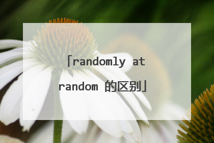 randomly at random 的区别