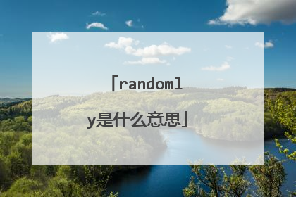 randomly是什么意思