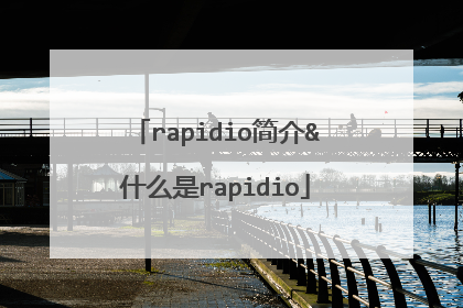 rapidio简介&什么是rapidio