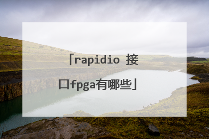 rapidio 接口fpga有哪些