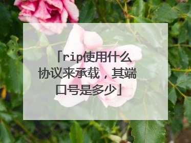 rip使用什么协议来承载，其端口号是多少
