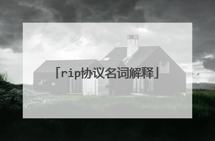 rip协议名词解释