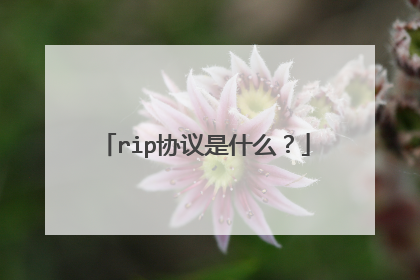 rip协议是什么？