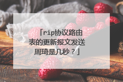 rip协议路由表的更新报文发送周琦是几秒？