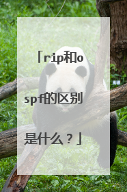 rip和ospf的区别是什么？