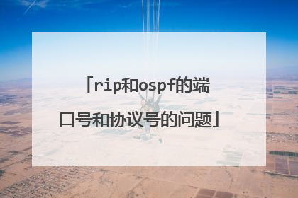 rip和ospf的端口号和协议号的问题