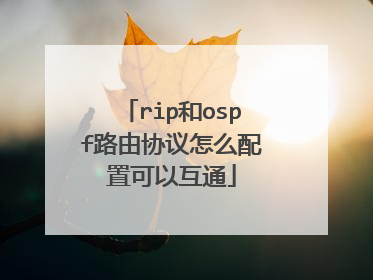 rip和ospf路由协议怎么配置可以互通