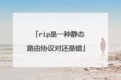 rip是一种静态路由协议对还是错