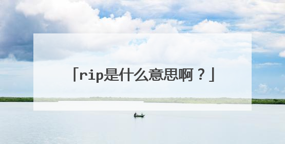 rip是什么意思啊？