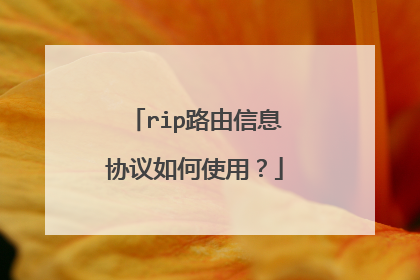 rip路由信息协议如何使用？