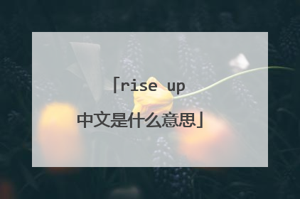 rise up中文是什么意思