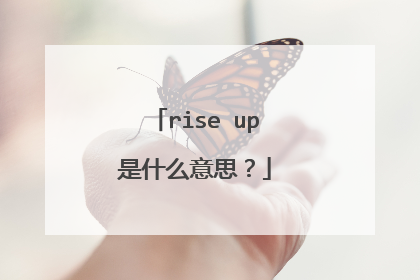 rise up是什么意思?