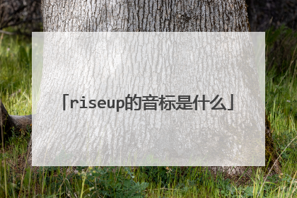riseup的音标是什么