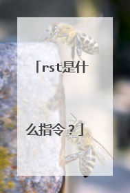 rst是什么指令？