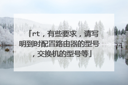 rt,有些要求,请写明到时配置路由器的型号,交换机的型号等