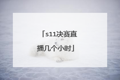 s11决赛直播几个小时