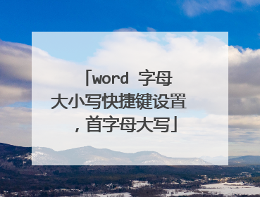 word 字母大小写快捷键设置,首字母大写