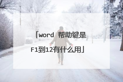 word 帮助键是F1到12有什么用