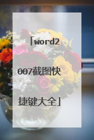 word2007截图快捷键大全