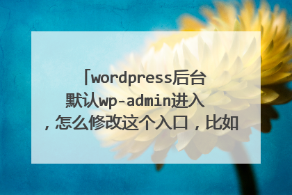 wordpress后台默认wp-admin进入,怎么修改这个入口,比如www.域名.com/aaaa进入后台
