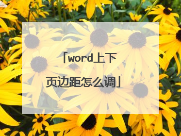 word上下页边距怎么调