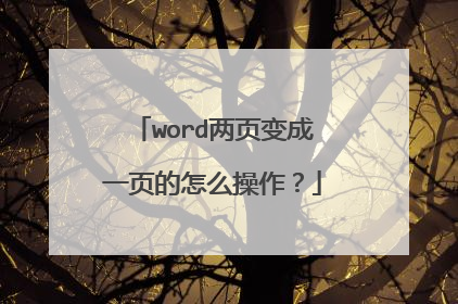 word两页变成一页的怎么操作？