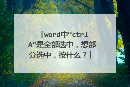 word中“ctrl A”是全部选中,想部分选中,按什么?