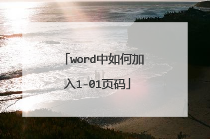 word中如何加入1-01页码