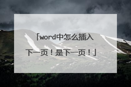 word中怎么插入下一页!是下一页!