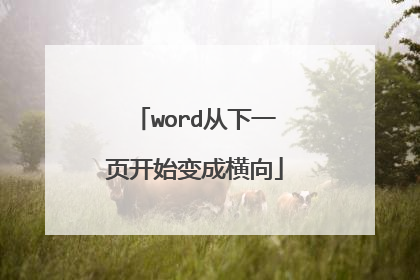 word从下一页开始变成横向