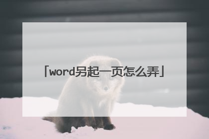 word另起一页怎么弄