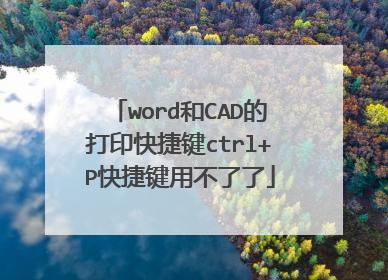 word和CAD的打印快捷键ctrl+P快捷键用不了了