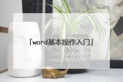 word基本操作入门