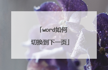 word如何切换到下一页