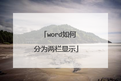 word如何分为两栏显示